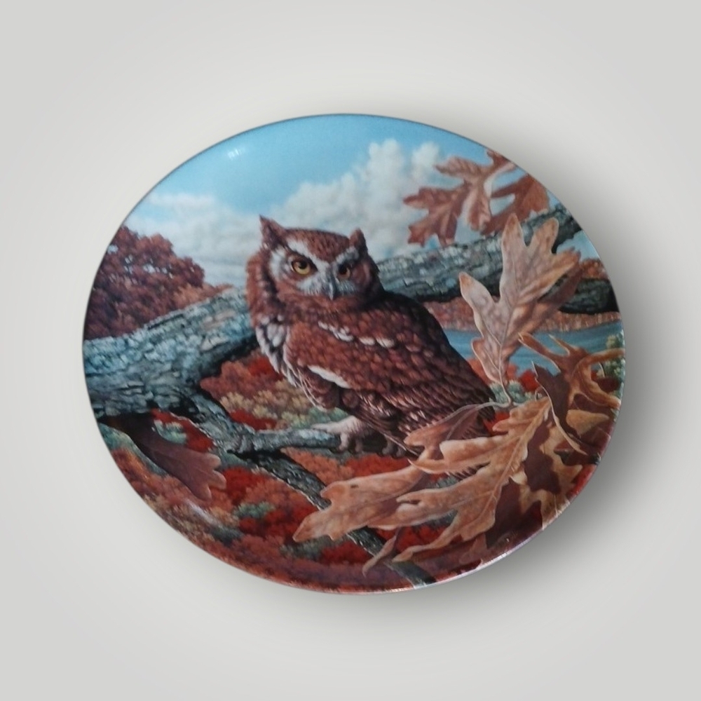 ⚕️"The Eastern Screech Owl"